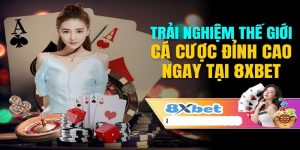 Đăng Ký 8xbet | 8xbet Kiwi Thương Hiệu Nhà Cái Uy Tín Nhất